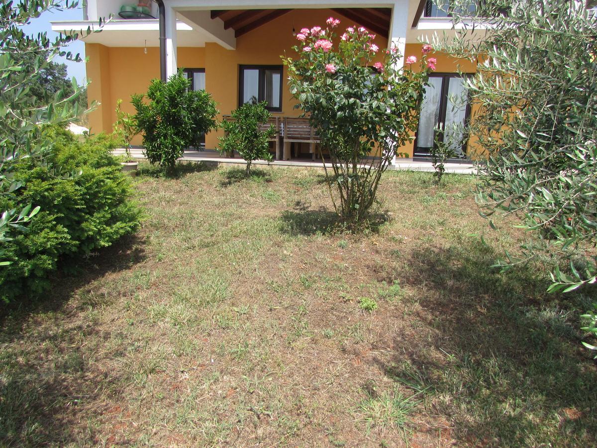 Apartments Goga Umag Exterior photo